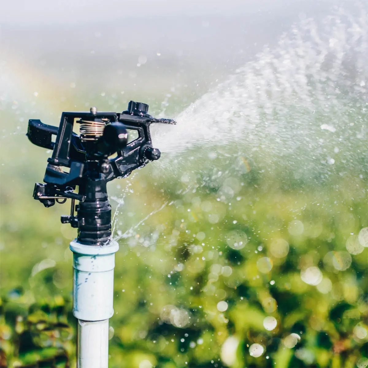 Vartco Marina Sektorisprinkler - Bewässerungspistolen und Sprinkleranlagen - 5906874308325 - 1