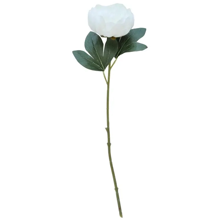 Pfingstrose weiße Zierzweig 51 cm - Kunstpflanzen und künstliche Blumen - 6416906878133 - 0