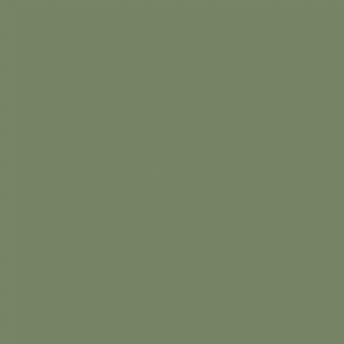 Farbe Reseda Grün RAL 6011 1 l - Farben und Sprühfarben - 8716106059164 - 1