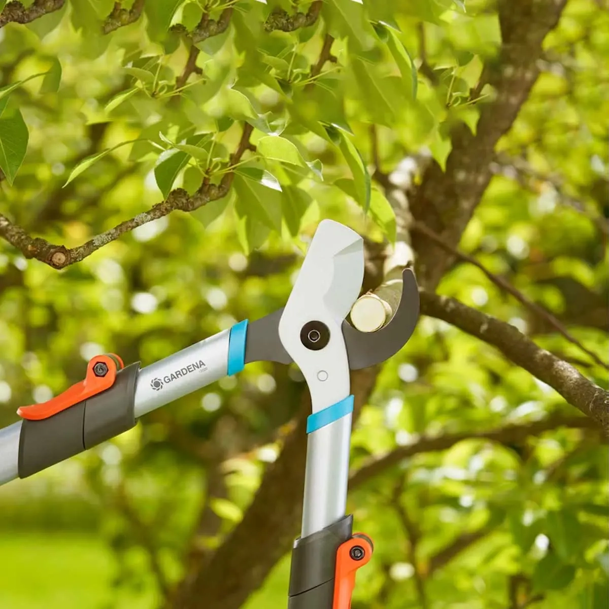  - Gartenscheren und Heckenscheren - 4066407504899 - 1
