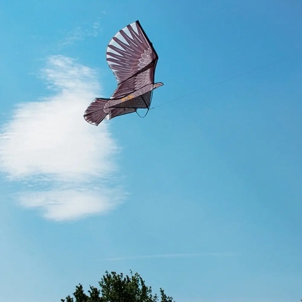 Vogelscheuche Falke 4m + 2m - Vogelschutzspitzen, Vogelscheuchen und Abschr - 6438168103150 - 0