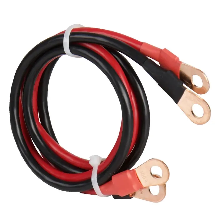 12V 60A Akkuladegerät Carbest PowerLoad - Batterieladegerät - 4043729180642 - 1