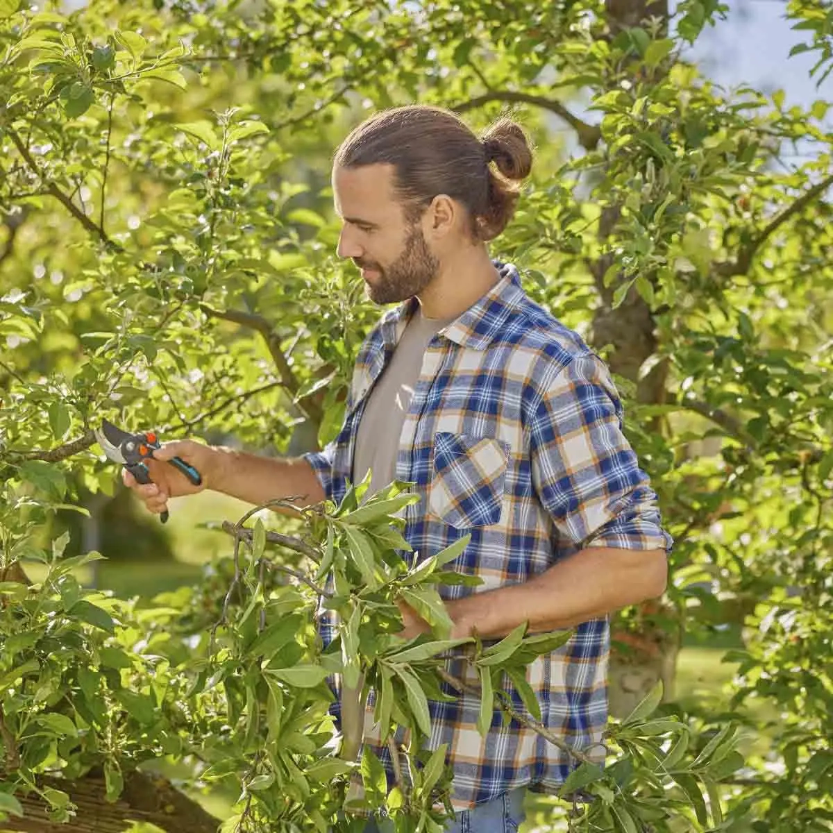  - Gartenscheren und Heckenscheren - 4066407022461 - 2