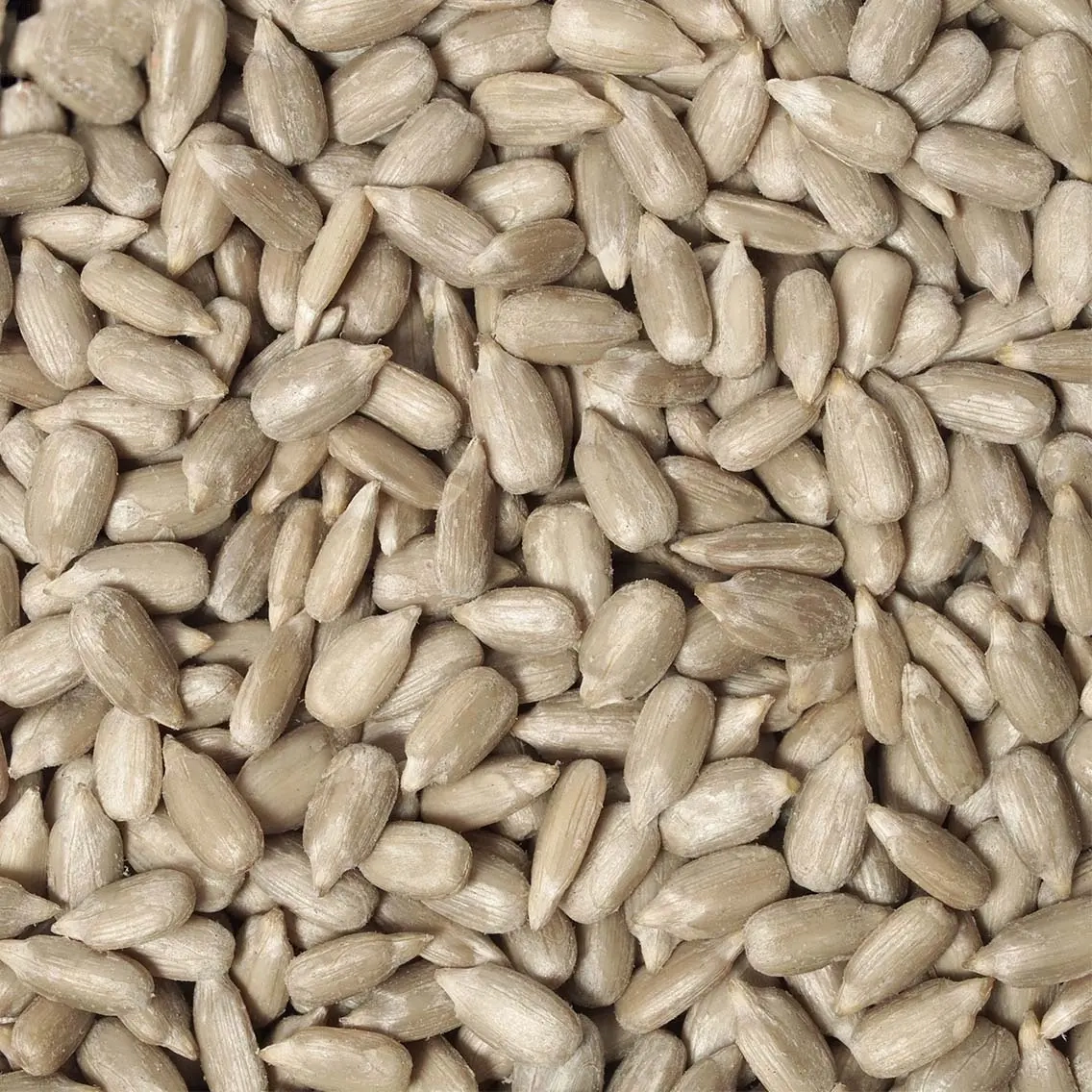 Geschälte Sonnenblumenkerne 10 kg - Sonnenblumenkerne und Samenmischungen - 6438168111445 - 0