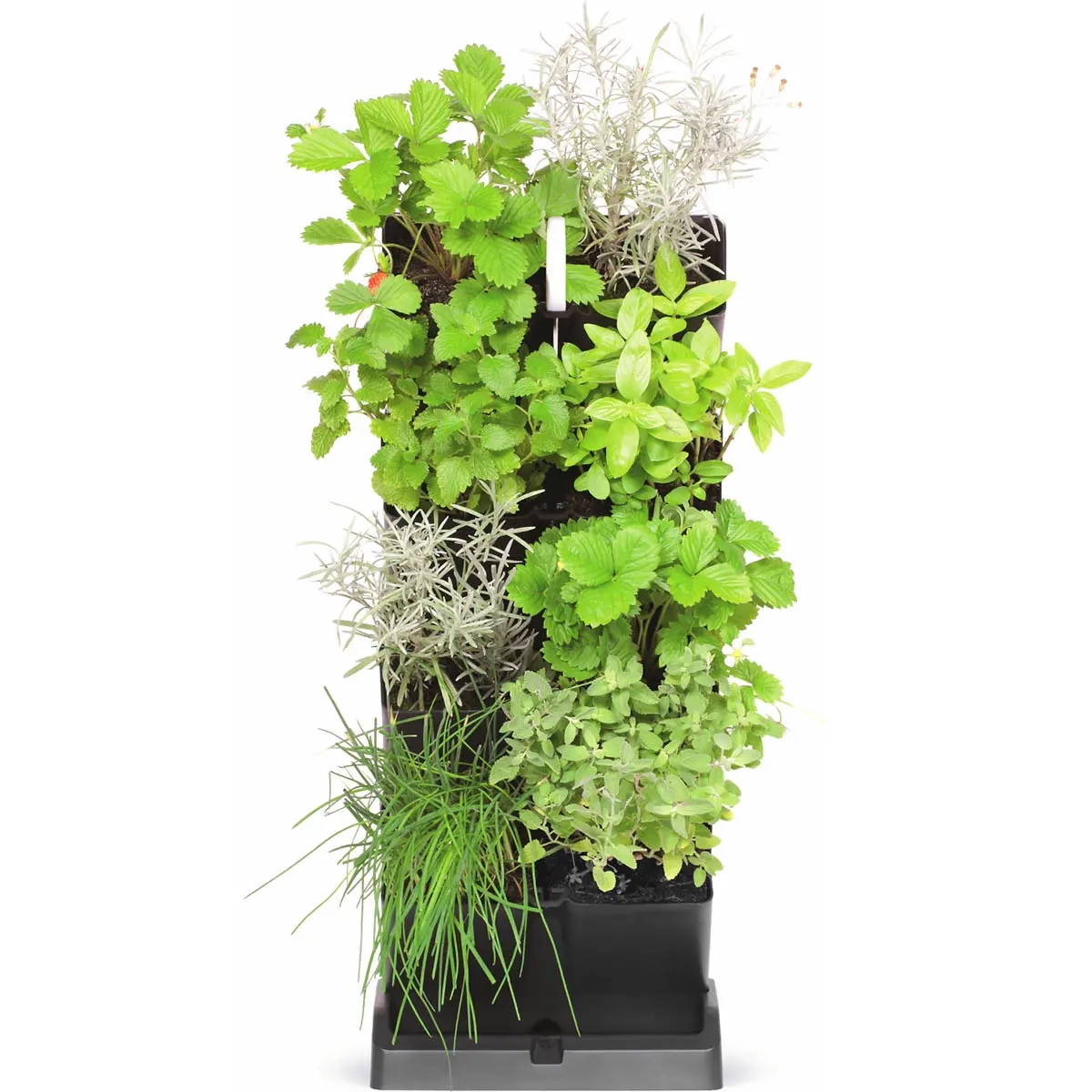 Kräuterturm 8-teilig 47,5 cm Mini Cascade - Gewächshäuser und Pflanzkästen - 5905197289885 - 2