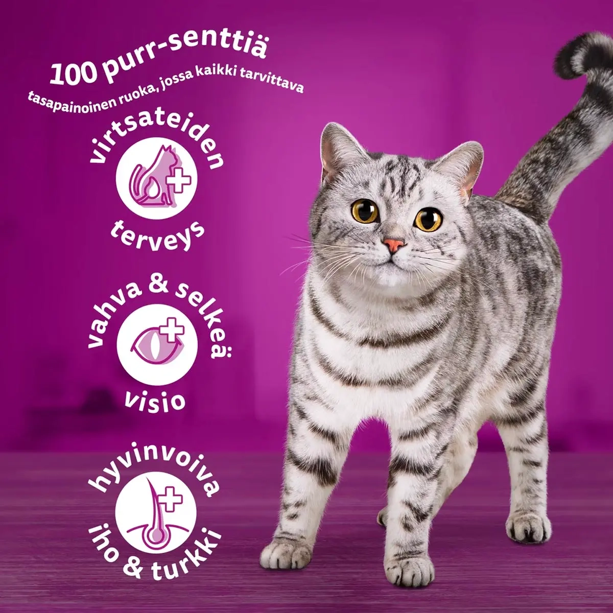 Kattmat 1+ nötkött 1,9 kg - Torrfoder katt - 5900951305627 - 1