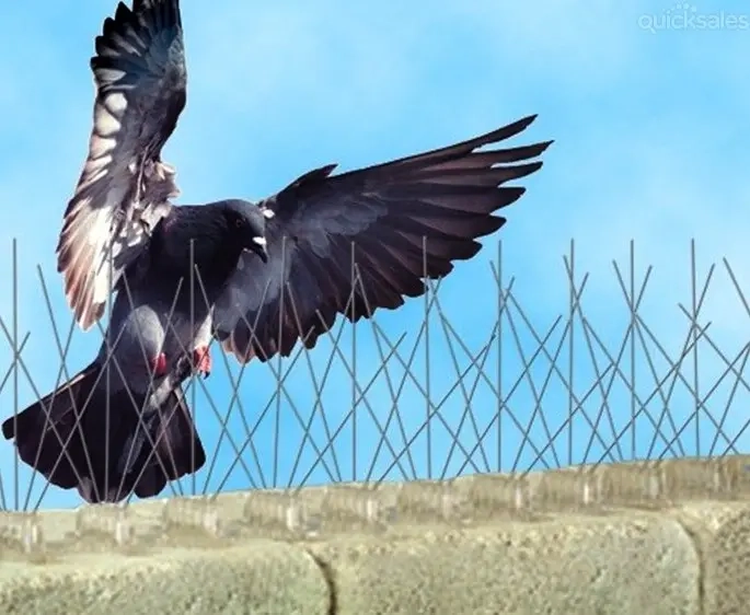 Taubenspike 50 cm Vogelschutz - Vogelschutzspitzen, Vogelscheuchen und Abschr - 6438168089560 - 0