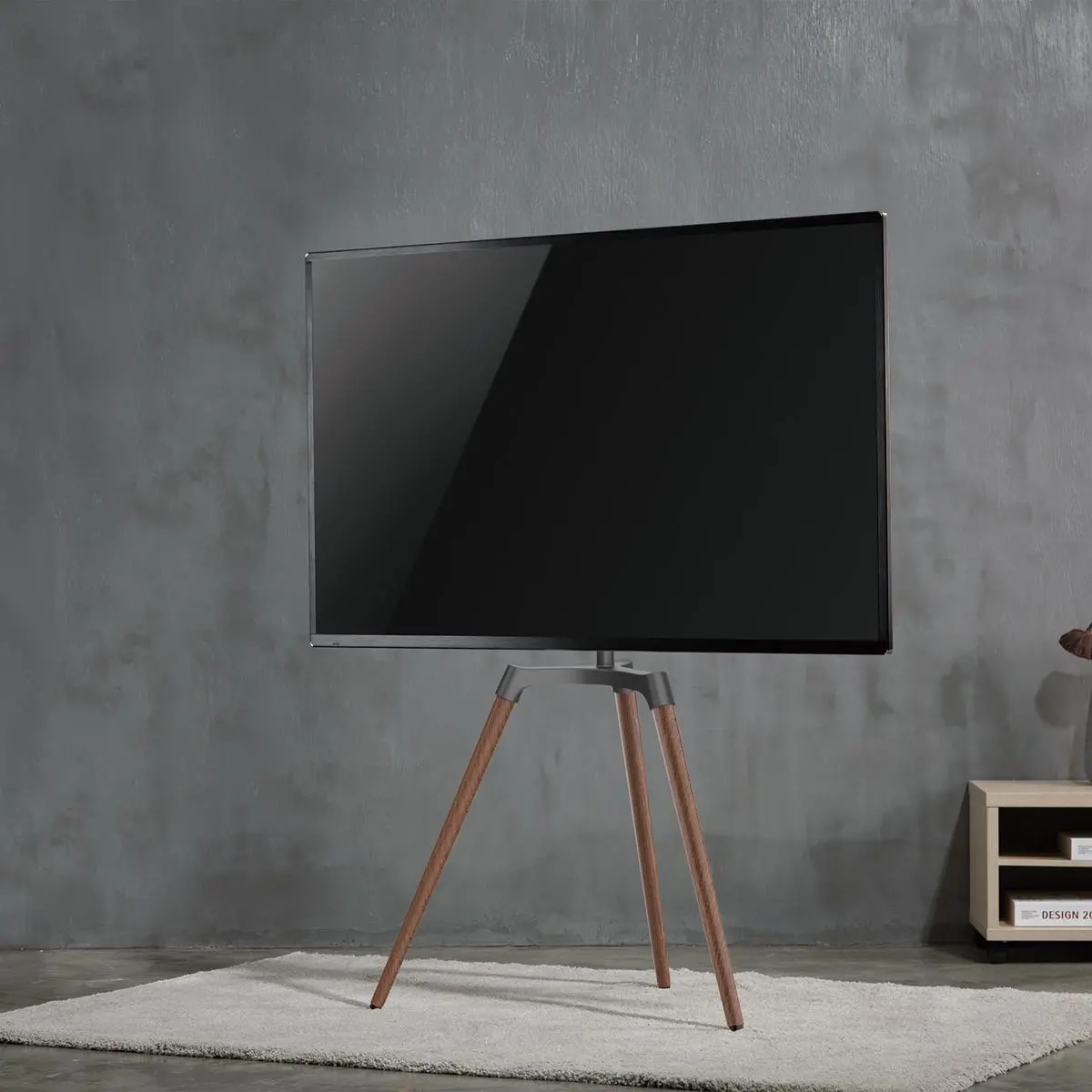 TV Bodenständer 50-65