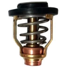 Thermostat Suzuki DF70-DF300 60°C - Außenborder-Service- und Universalteile - 6438235270617 - 0