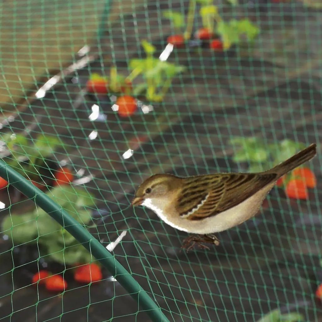 Vogelschutznetz Pro 6x50m 300m² UV-geschützt - Beerennetze - 6430068433559 - 0