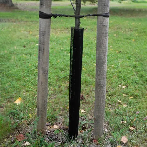 Rahmenschutznetz 6x90cm 4 Stück schwarz - Nageschutz - 6430068433160 - 0
