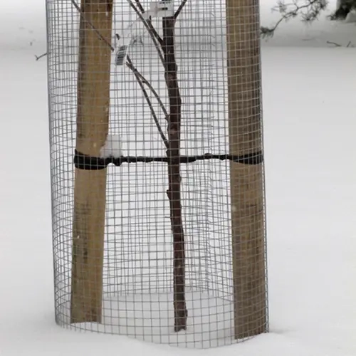 Maulwurfnetz 120 cm x 2,5 m 12,7 x 12,7 mm - Sechseckige Netze und Nagetiernetze - 6430040621042 - 0