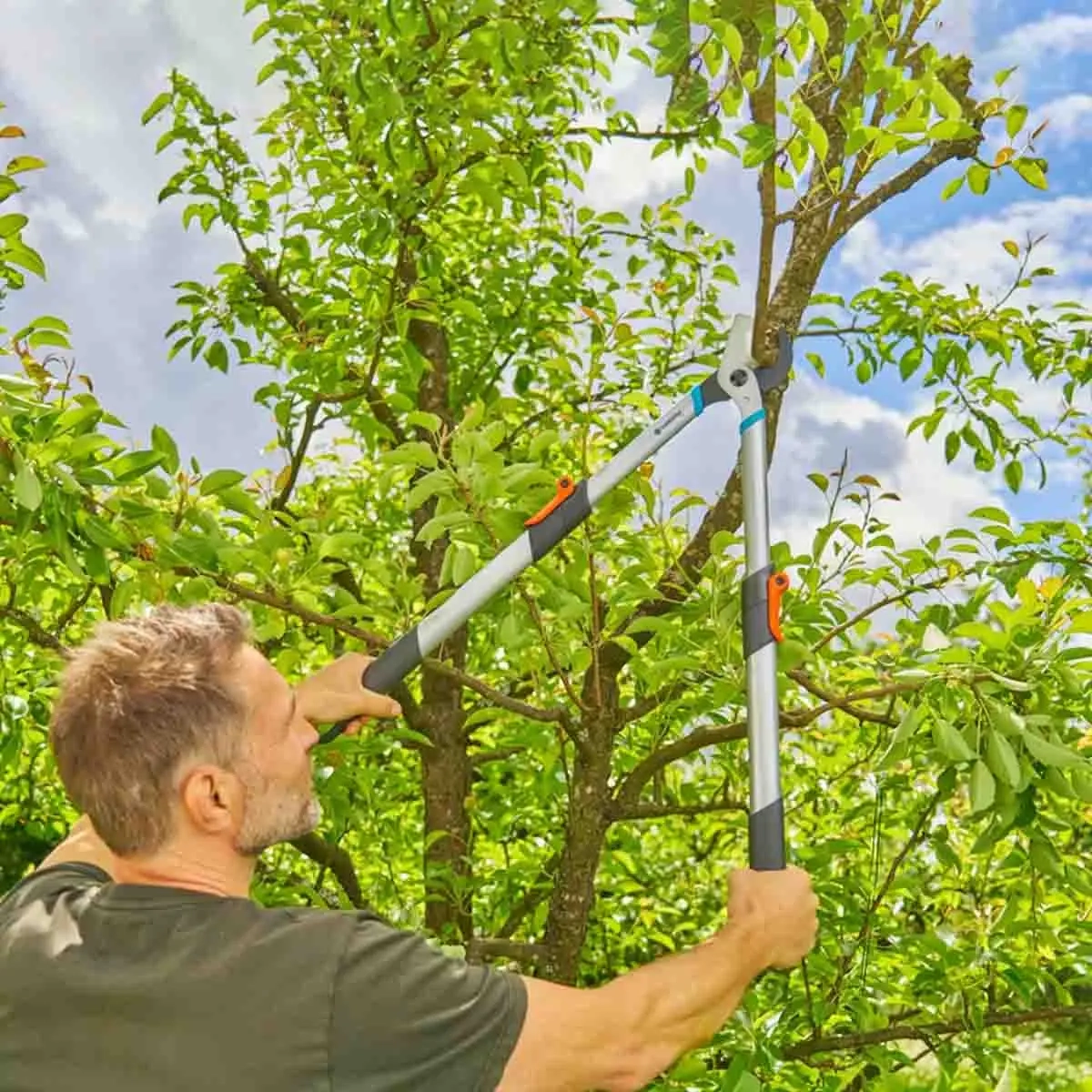  - Gartenscheren und Heckenscheren - 4066407504899 - 3