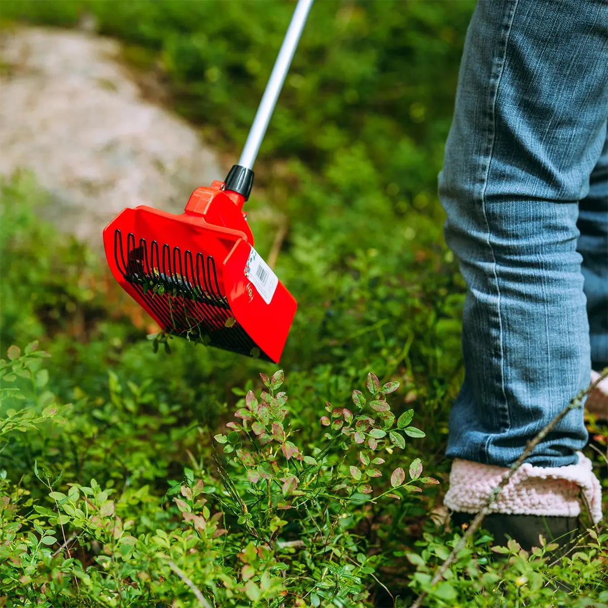 Beerenpflücker mit Teleskopstiel - Beerenpflückausrüstung und Entsafter - 6410416228983 - 2