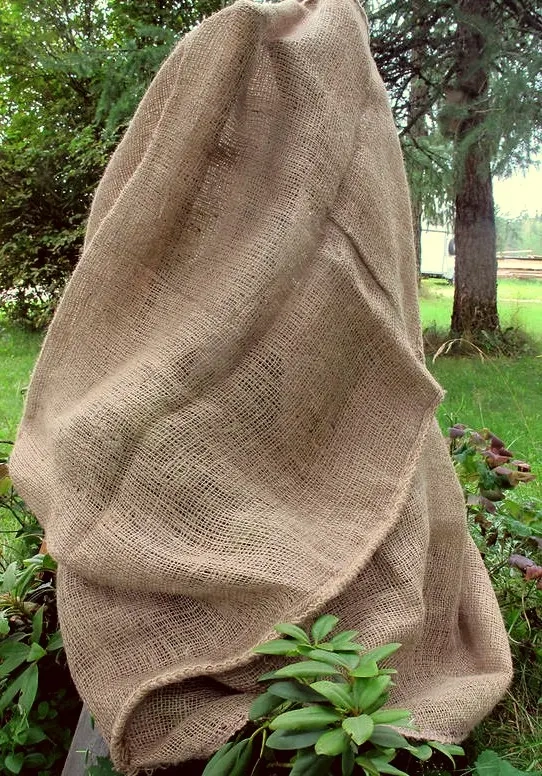 Plantskydd jute huva natural 70x120cm - Skuggnät - 6430040625682 - 0