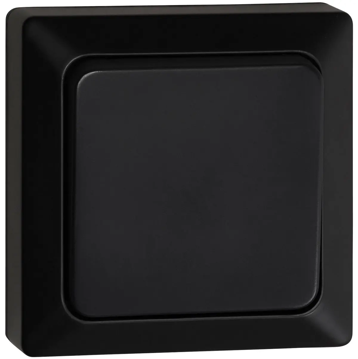 Kupplung 1/6 Oberfläche IP20 Opal Pro Schwarz - Schalter und Dimmer - 6438056309206 - 0