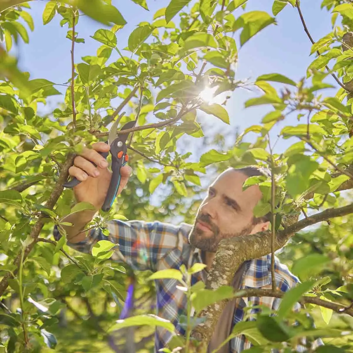  - Gartenscheren und Heckenscheren - 4066407022461 - 1